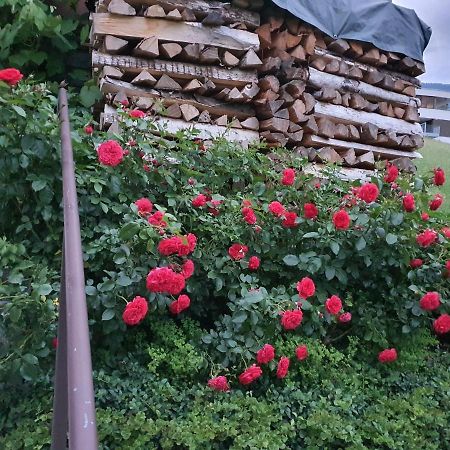 Dreamlandranch Vorarlberg Διαμέρισμα Schlins Εξωτερικό φωτογραφία
