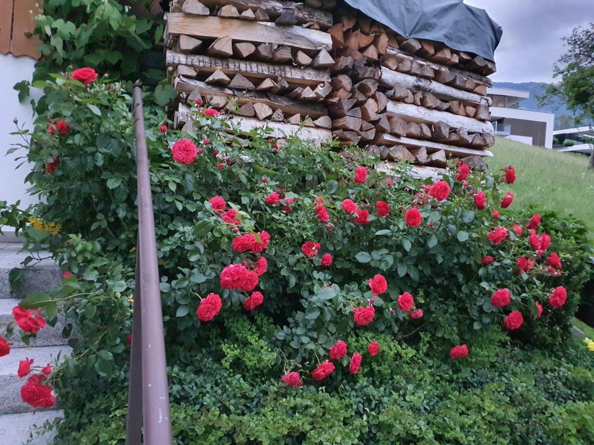 Dreamlandranch Vorarlberg Διαμέρισμα Schlins Εξωτερικό φωτογραφία