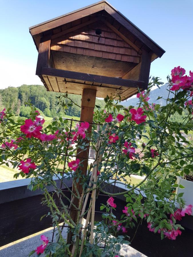 Dreamlandranch Vorarlberg Διαμέρισμα Schlins Εξωτερικό φωτογραφία